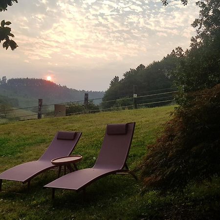 Agroturismo Iberreko Errota Muxika Eksteriør billede
